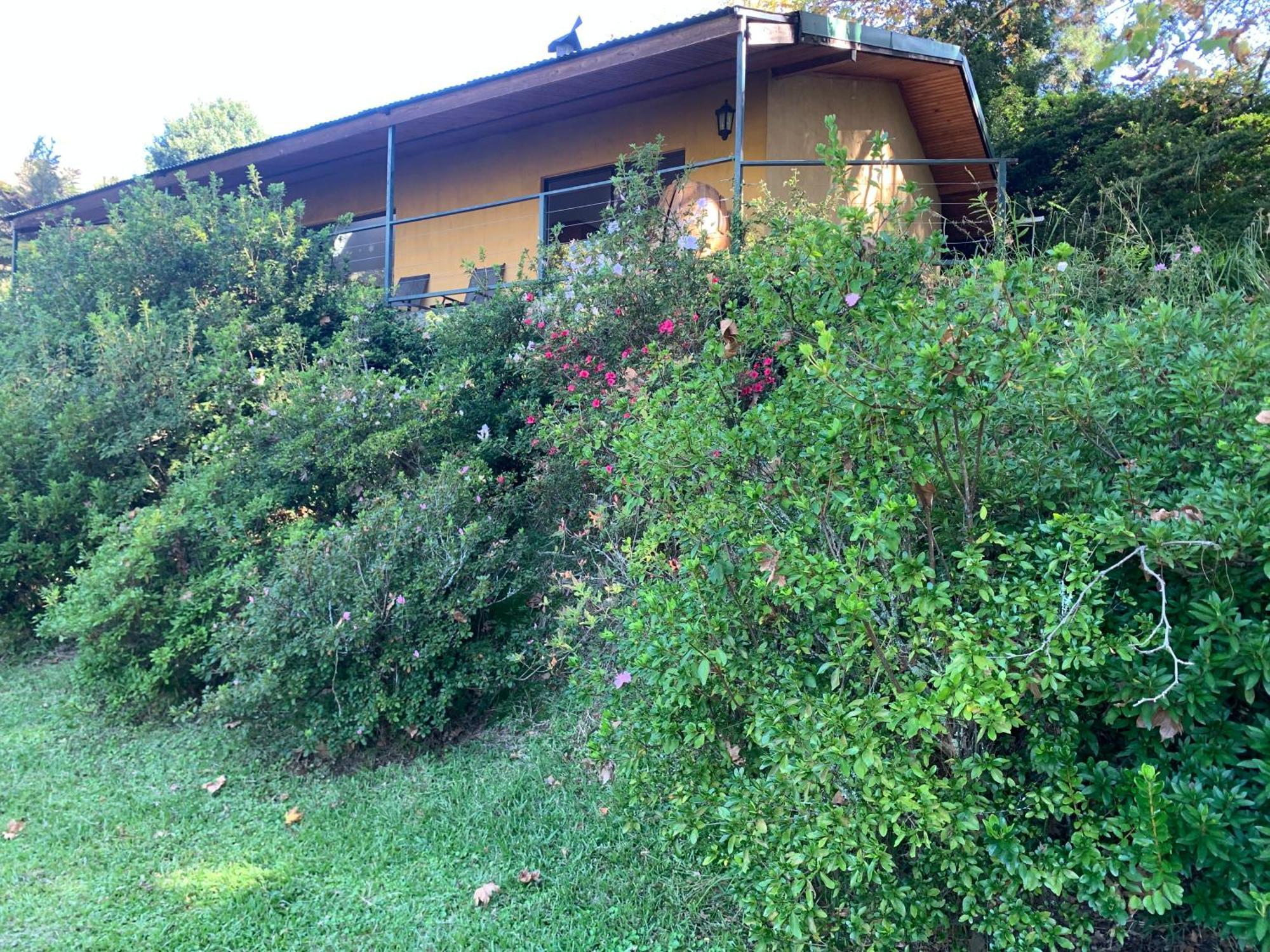 Villa Emafweni Champagne Valley Exterior foto